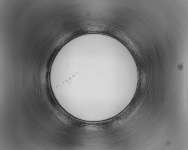 X0000116890490201001121346