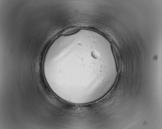 X0000116890491201001121346