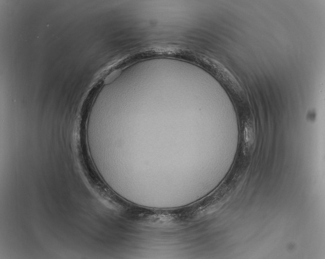 X0000116890492201001121346