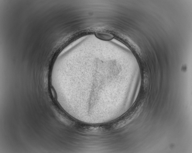 X0000116890493201001121346