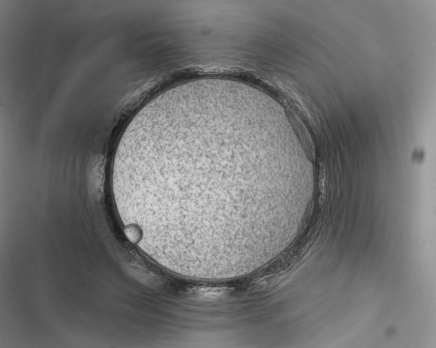 X0000116890495201001121346