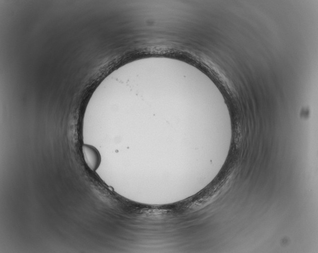 X0000116890497201001121346