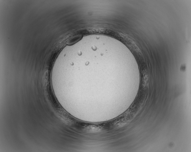 X0000116890498201001121346