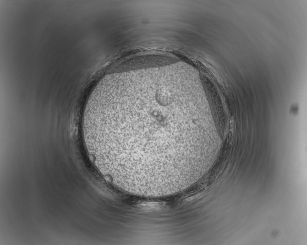 X0000116890499201001121346