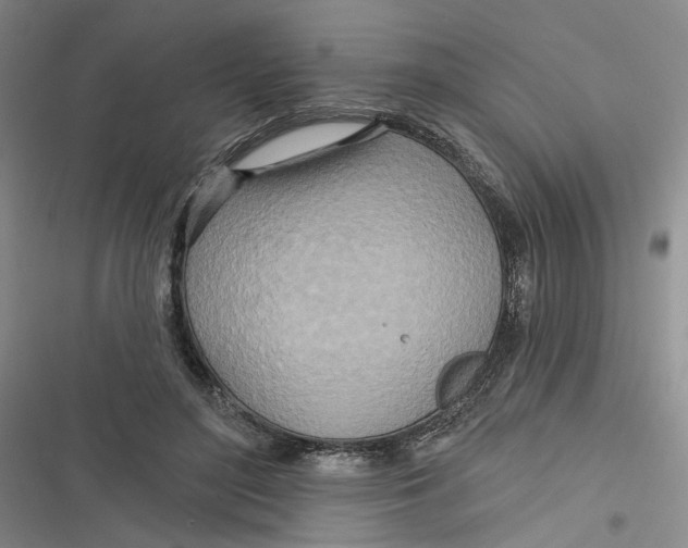 X0000116890500201001121346