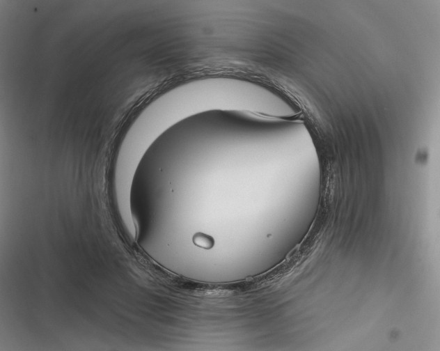 X0000116890501201001121346