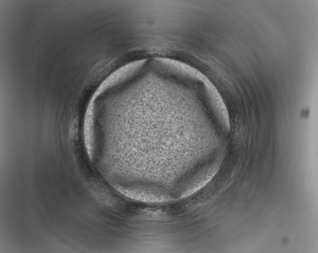 X0000116890502201001121346