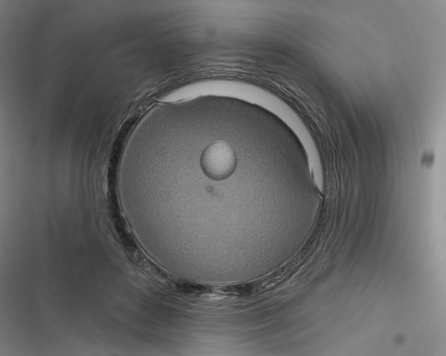 X0000116890504201001121346