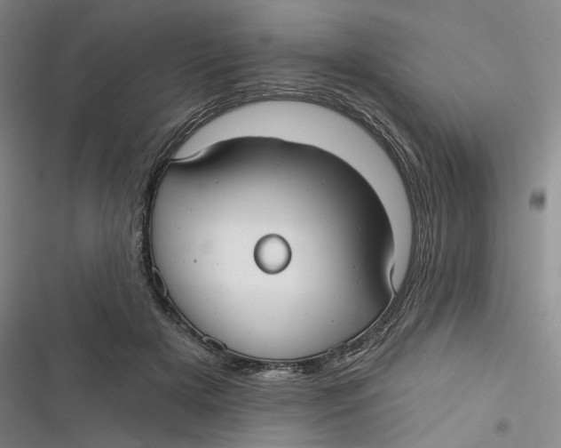 X0000116890505201001121346