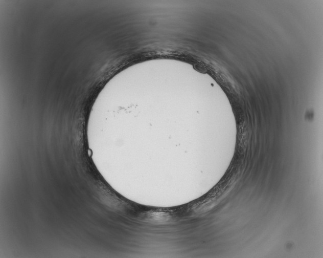 X0000116890509201001121346