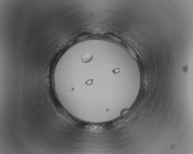 X0000116890512201001121346