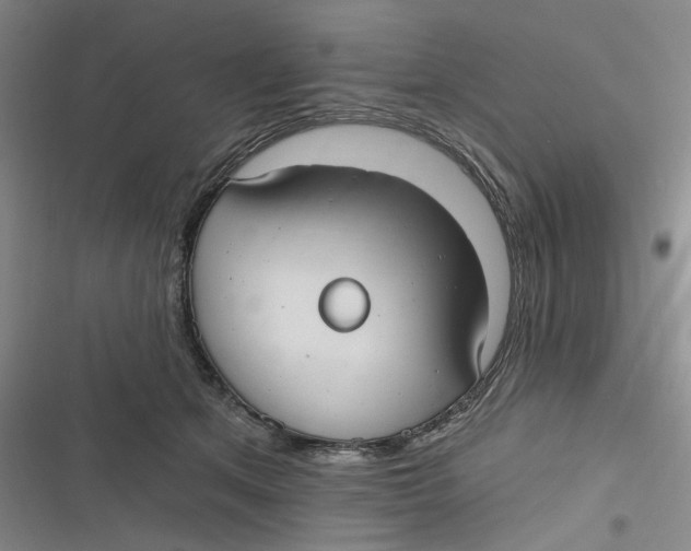 X0000116890513201001121346