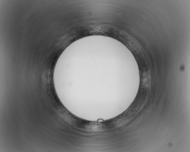 X0000116890514201001121346