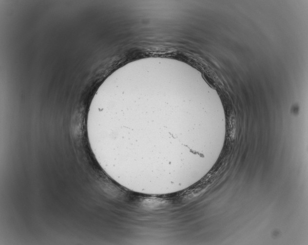 X0000116890515201001121346