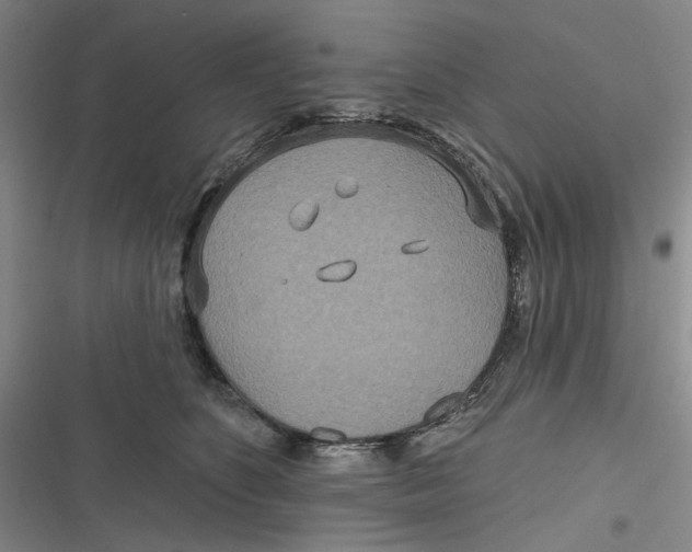 X0000116890516201001121346