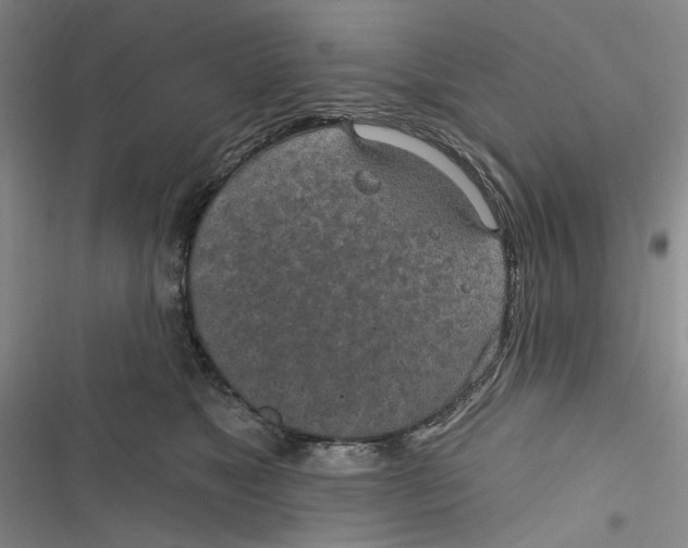 X0000116890517201001121346