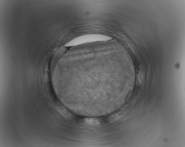 X0000116890520201001121346