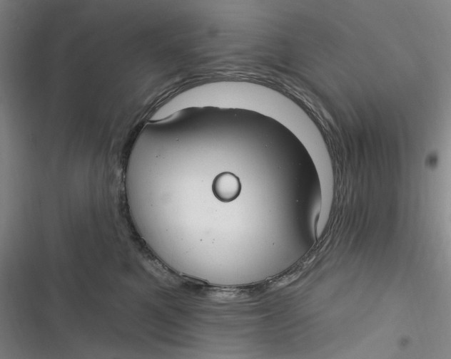 X0000116890521201001121346