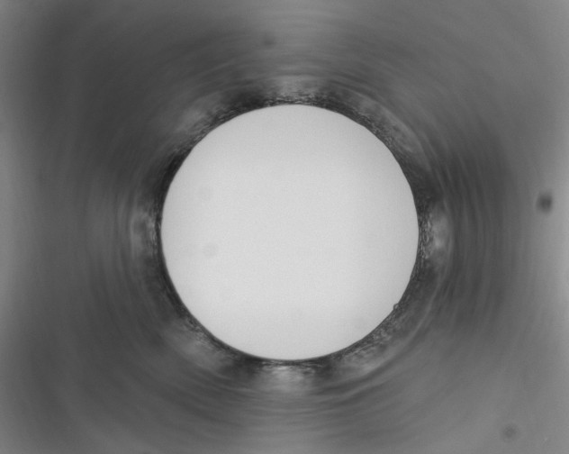 X0000116890522201001121346