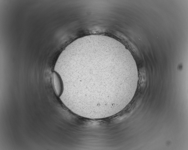 X0000116890523201001121346