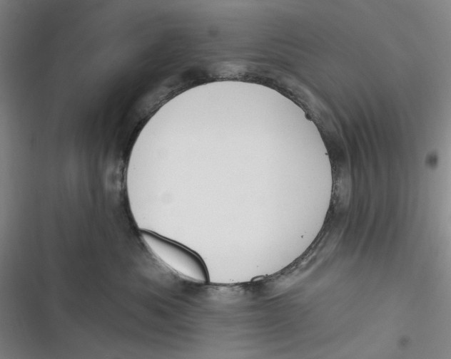 X0000116890525201001121346