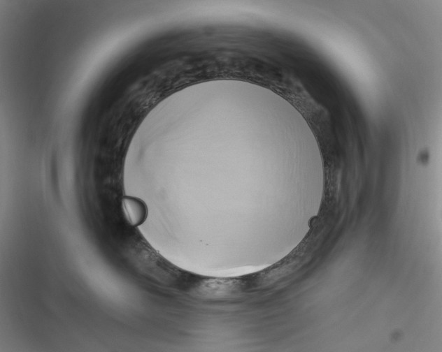 X0000116890526201001121346