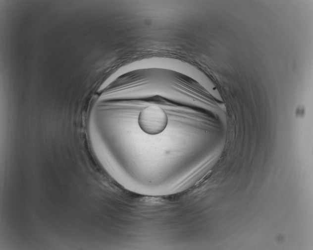 X0000116890528201001121346