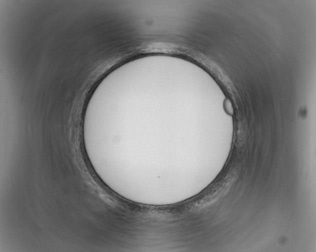 X0000116890529201001121345