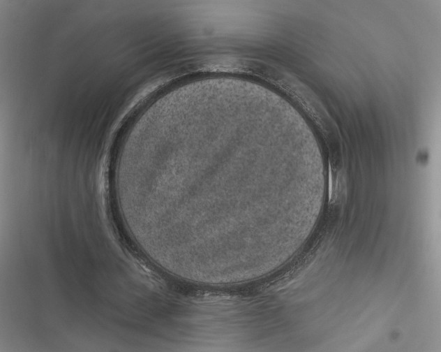 X0000116890531201001121345