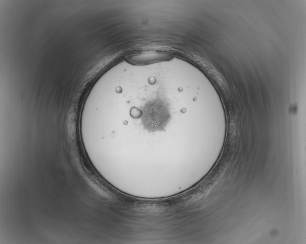 X0000116890533201001121345