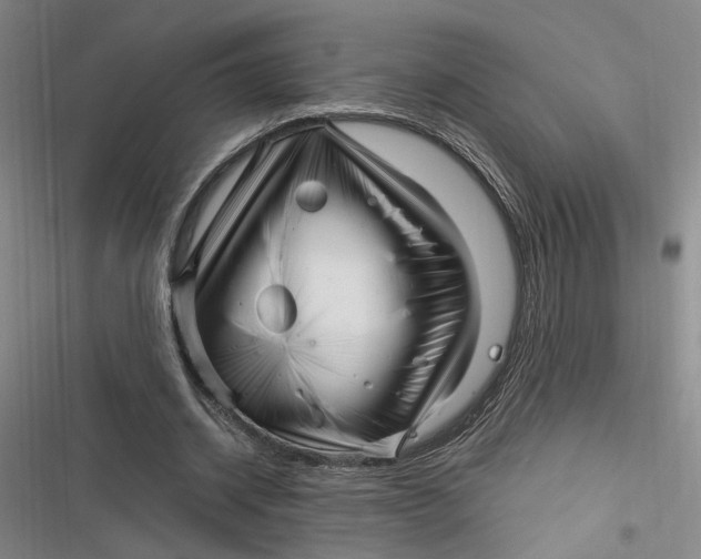 X0000116890534201001121345