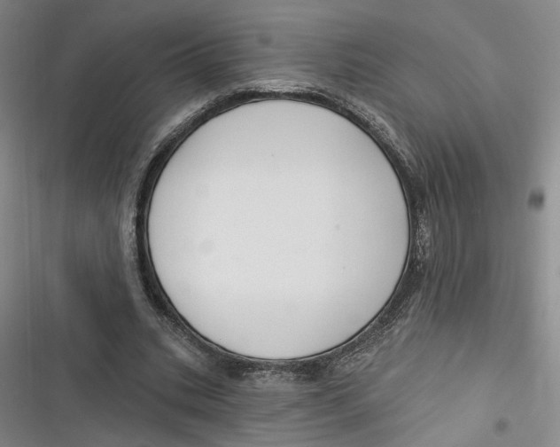 X0000116890535201001121345