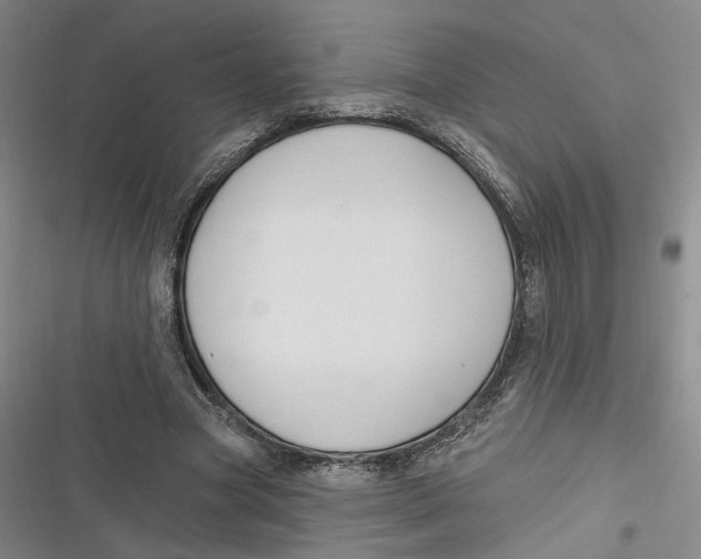 X0000116890537201001121345