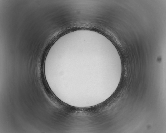 X0000116890538201001121345