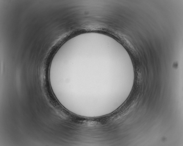 X0000116890539201001121345