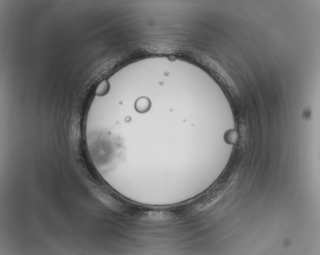 X0000116890541201001121345