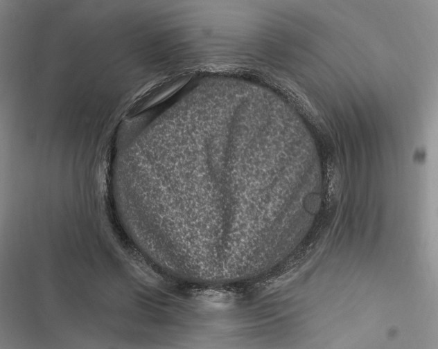 X0000116890542201001121345