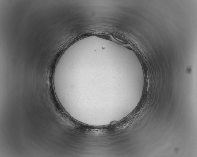 X0000116890546201001121345