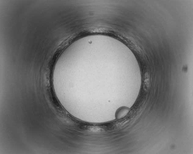 X0000116890547201001121345