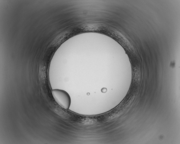 X0000116890549201001121345