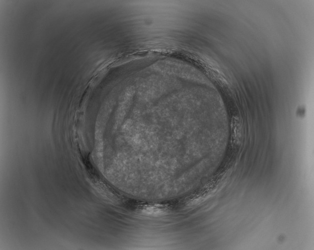 X0000116890550201001121346