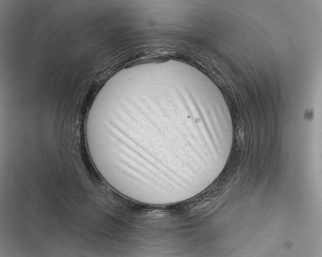 X0000116890551201001121346