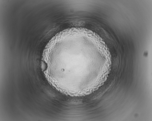 X0000116890553201001121346