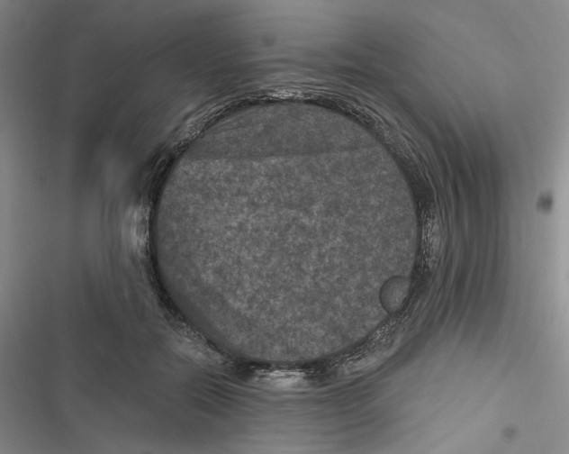 X0000116890554201001121346