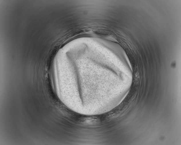 X0000116890555201001121346