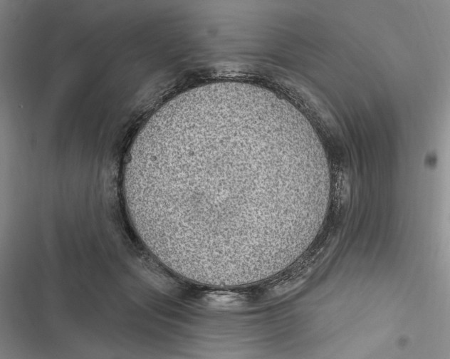 X0000116890557201001121346