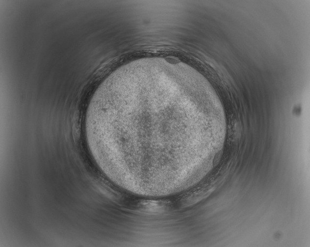 X0000116890558201001121346