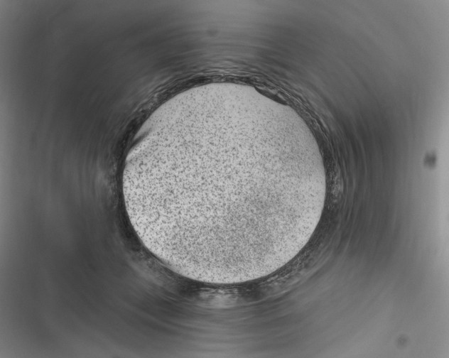 X0000116890559201001121346