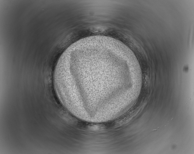 X0000116890561201001121346