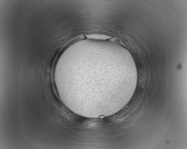 X0000116890563201001121346